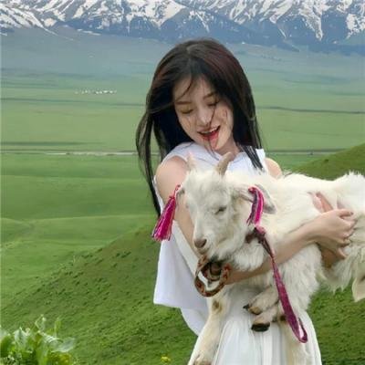 恋爱星求人粤语